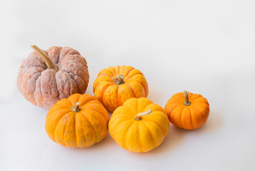 orange autumn pumpkins for Halloween set   background