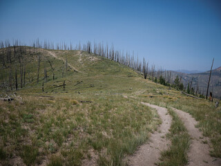 Obraz premium Dirt road through Sawtooth Mountains in the Yankee Fork near Stanley Idaho in summer in burn area
