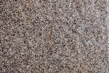 Close-up of an abstract ceramic texture with a speckled pattern of black and white, creating a unique, detailed surface ideal for background or design elements