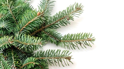 christmas background with christmas branches and decorations