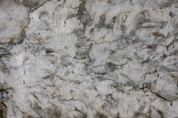 Subtle abstract texture of a weathered wall with organic patterns, ideal for backgrounds, artistic projects, or adding depth to visual designs