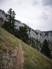 Singletrack in  rocky cliffs in Bridger Mountain range by Bozeman Montana in summer