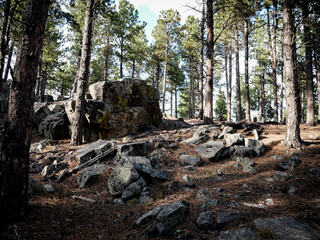 Giant granite boulders in the Black Hills National Forest near Rapic City South Dakota