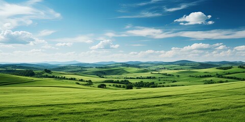 Fototapeta premium A sprawling meadow of verdant hues, gently rolling hills, and a canvas of fluffy clouds against a brilliant blue sky