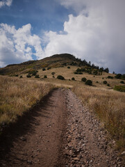 Dirt road in Texas Creek Recreation Area in central Colorado going up grassy hillside