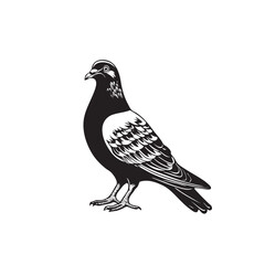 Vector pigeon silhouette icon on white