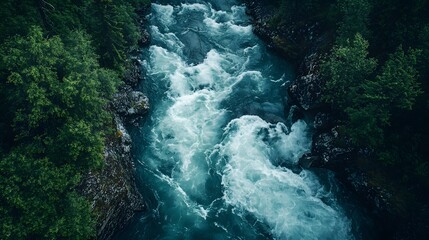 Aerial View of a Rushing River Surrounded by Lush Forest