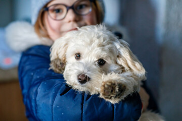 Little girl playing with her pet dog Maltese at home. Happy child holding cute puppy. Love, friendship, family animal.