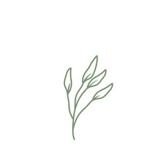 Colored line art leaf illustration 