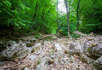 shallow mountain river, staritsa and nature walks, sunny day
