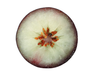 half cut of blueberry isolated , png