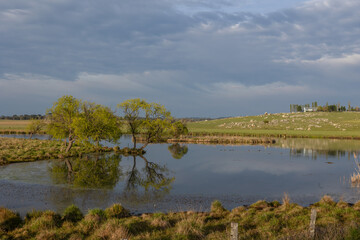 Fototapeta premium A view across the calm waters of a lake with reflections of the cloudy sky and trees growing on the bank and granite boulder covered pastures and farmland on the far side near Glen Innes in Australia.