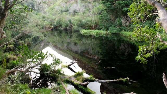 Tranquil setting of Disa Kloof trail dam with vegetation and mountain reflection