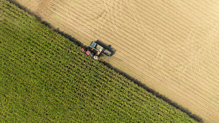 Sugarcane cutting truck top view.