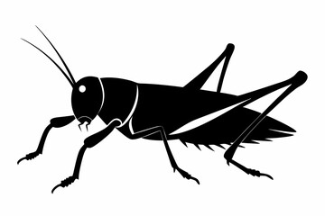 Grasshopper silhouette, Grasshopper icon, vector illustration isolated on white background
