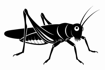 Grasshopper silhouette, Grasshopper icon, vector illustration isolated on white background
