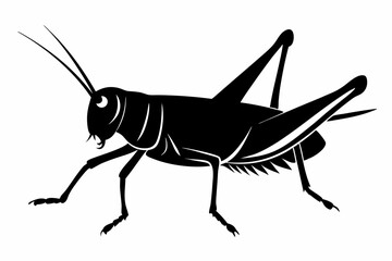 Grasshopper silhouette, Grasshopper icon, vector illustration isolated on white background
