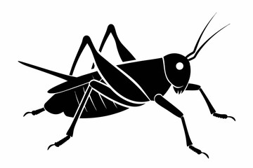 Grasshopper silhouette, Grasshopper icon, vector illustration isolated on white background
