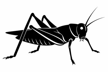 Grasshopper silhouette, Grasshopper icon, vector illustration isolated on white background
