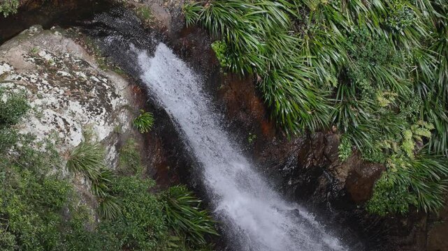 Waterfall in Binna Burra Rainforest