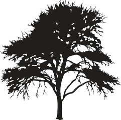 Beautiful vector black tree illustration silhouette