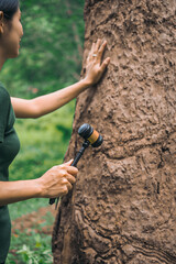 Women hugging trees while holding hammers,symbolizing enforcement of tree conservation laws.This highlights the importance of environmental protection,reducing global warming, and the value of trees