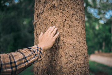 A male hand hugs a tree, symbolizing love for nature and the environment. This act represents the importance of trees in preventing global warming and restoring environmental balance, as seen