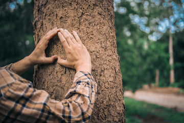 A male hand hugs a tree, symbolizing love for nature and the environment. This act represents the importance of trees in preventing global warming and restoring environmental balance, as seen