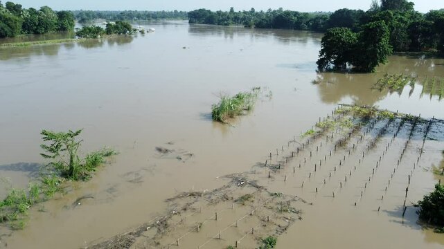 Ariel view shot of West Bengal flood by river Damodar and Mundeshwari in rainy season.