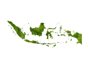 Indonesia map made of green leaves, concept ecology Map green leaf on white background
