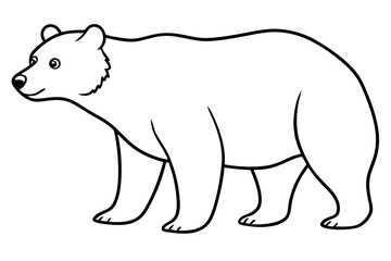 bear vector