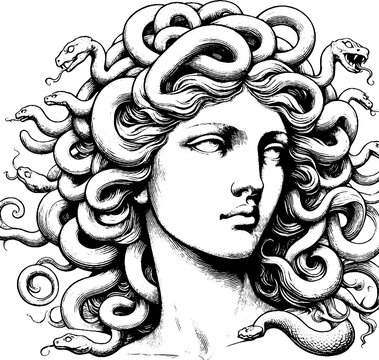 Medusa Gorgon antique bust, graphic