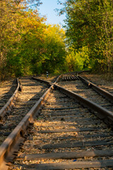 Railway tracks in the park area of ​​autumn Kharkov