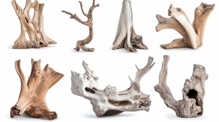 Fototapeta premium A collection of eight different pieces of driftwood, isolated on a white background.