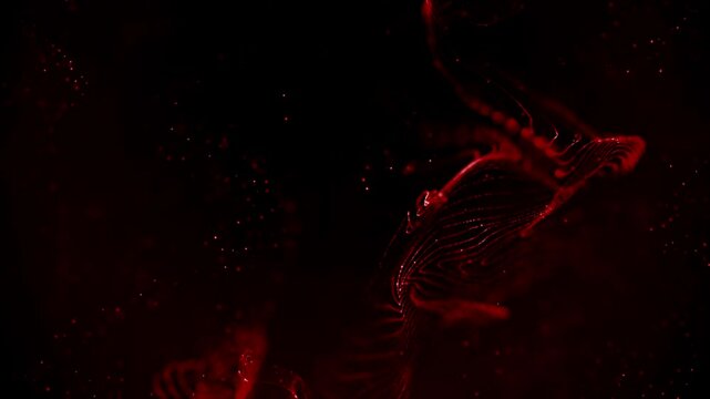Swirling red blood or other fluid moving on black background, for macabre concept