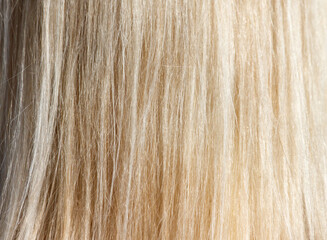 Naklejka premium A close up of blonde hair with a lot of texture