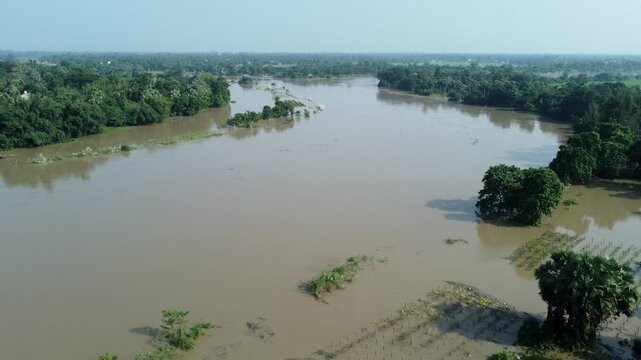 Ariel view shot of West Bengal flood by river Damodar and Mundeshwari in rainy season.