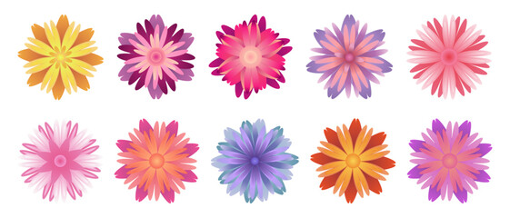 Beautiful Isolated Flower Collection. Floral Set