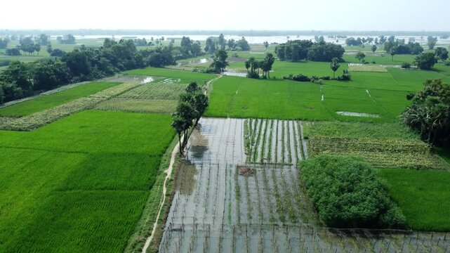 Ariel view shot of West Bengal flood by river Damodar and Mundeshwari in rainy season.