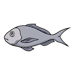 fish vector illustration