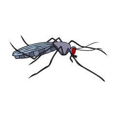mosquito vector illustration