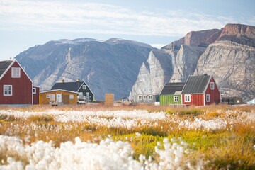 Panoramic view of colorful village in East Greenland. Houses in the small village during summer sunny day. Icebergs and mountains in the background. Typical buildings for Greenland. Romantic landscape © Michal