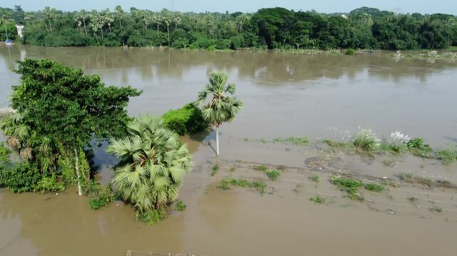 Ariel view shot of West Bengal flood by river Damodar and Mundeshwari in rainy season.