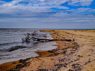 Strand in Südschweden