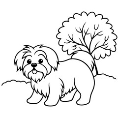 Lhasa Apso Joyfully Playing in the Grass Vibrant Vector Illustration of a Happy Pup
