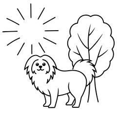 Radiant Pekingese Enjoying Sunlight Vector Illustration of a Happy Pekingese in a Bright Sunbeam
