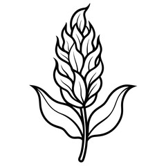 Celosia Flower Feathery Beauty Vector Illustration for Vibrant Floral Designs
