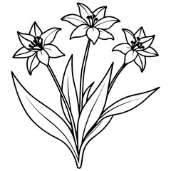 Vibrant Spiderwort Flowers Cluster Vector Illustration for Nature Lovers
