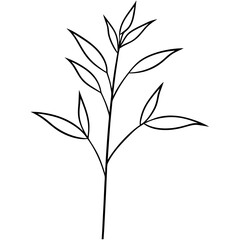 Obraz premium Artistic Vector Representation of a Sprig of Flowering Bamboo for Nature Lovers 