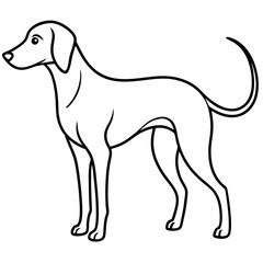 Vizsla dog standing near a tree vector illustration in outdoor environment
